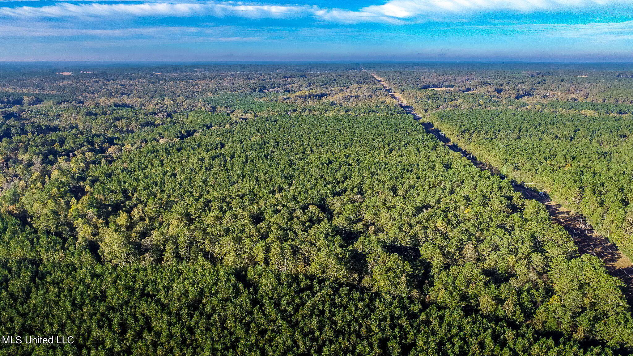 28 Acres Porter Hudson Road, Sumrall, Mississippi image 3