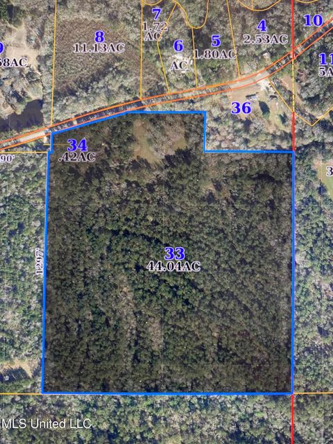 Vacant Land For Sale - Brooklyn Janice Road<br/> Forrest County, Brooklyn, MS 39425