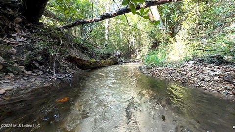 Vacant Land For Sale - Cephas Smith Lane<br/> Jayess, MS 39641