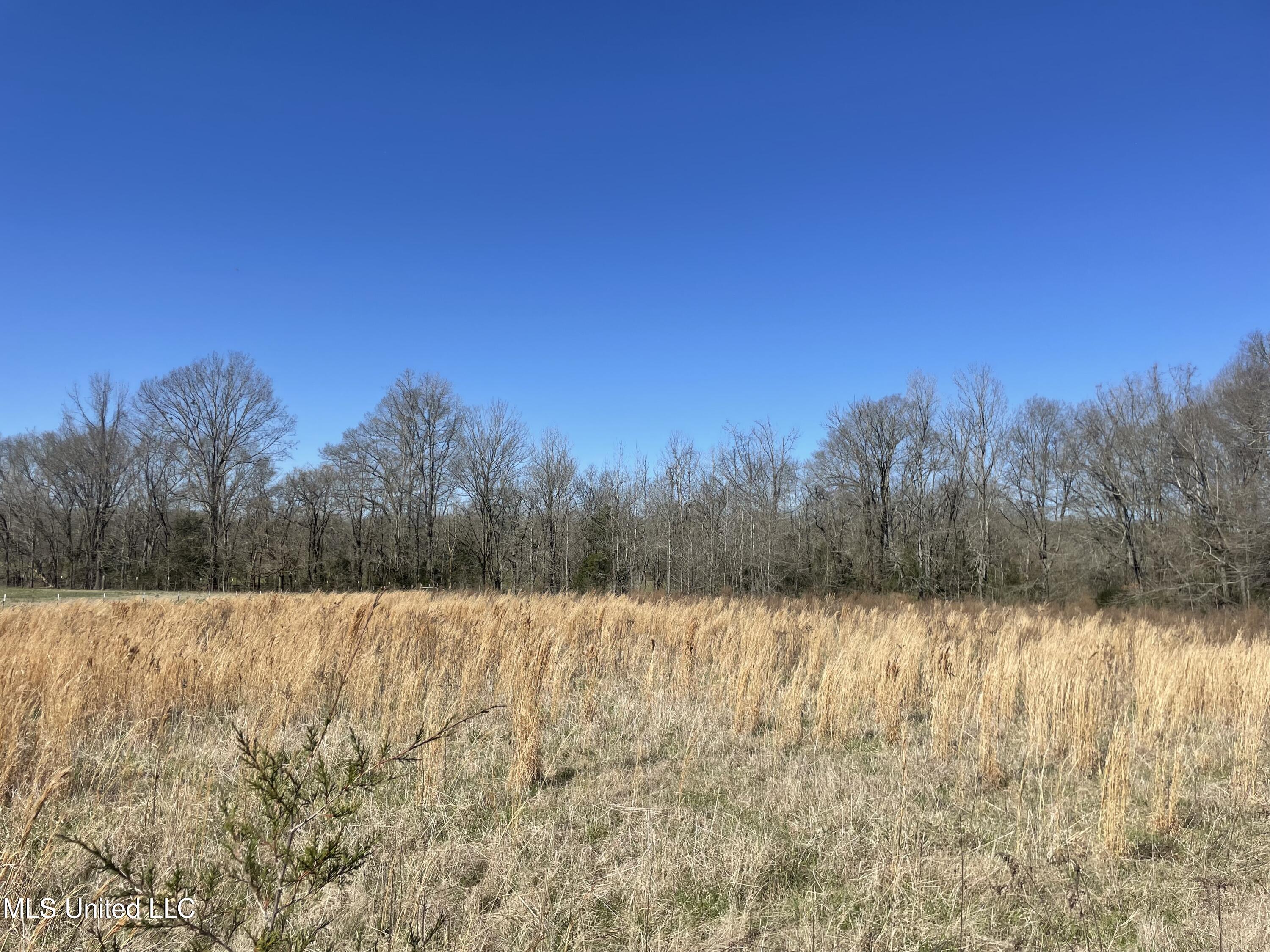 Myrleville Rd, Yazoo City, Mississippi image 7