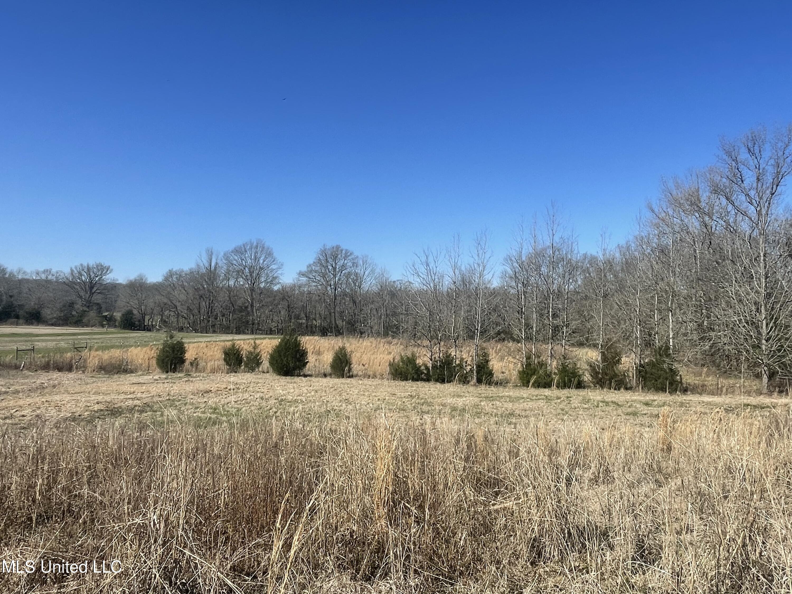 Myrleville Rd, Yazoo City, Mississippi image 4