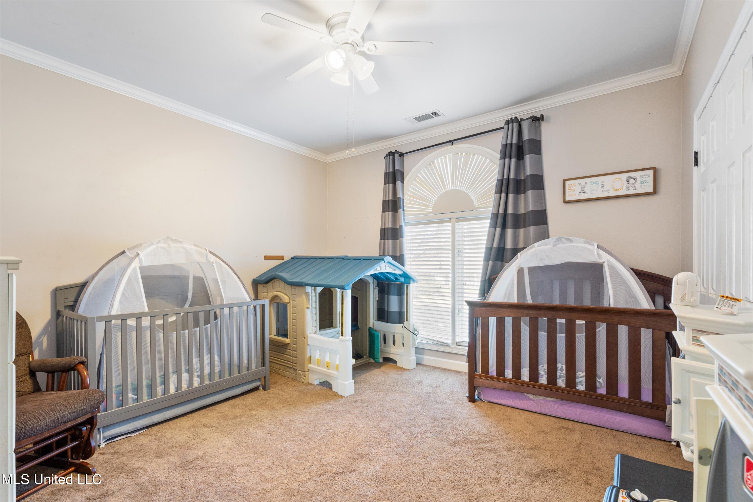 2601 Bienville Road, Nesbit, Mississippi image 28