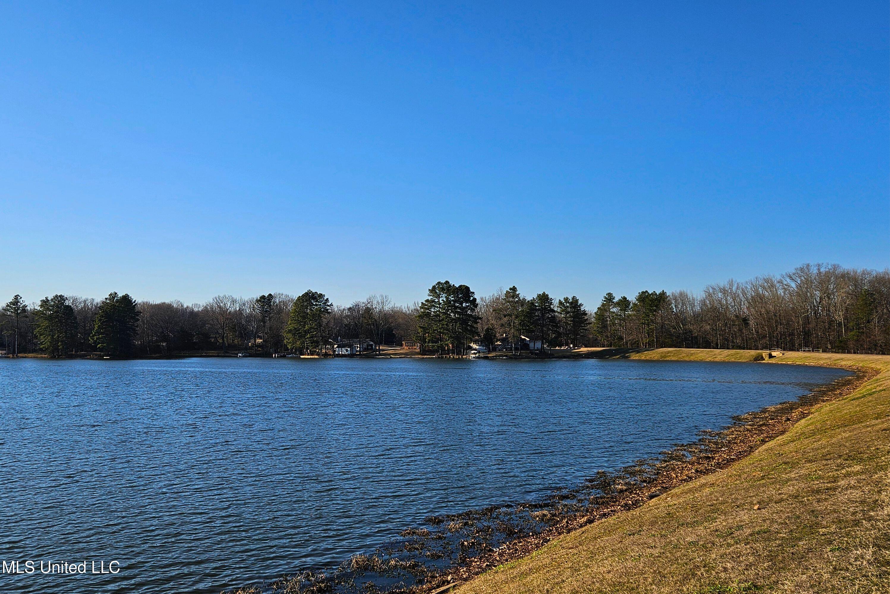 2601 Bienville Road, Nesbit, Mississippi image 41