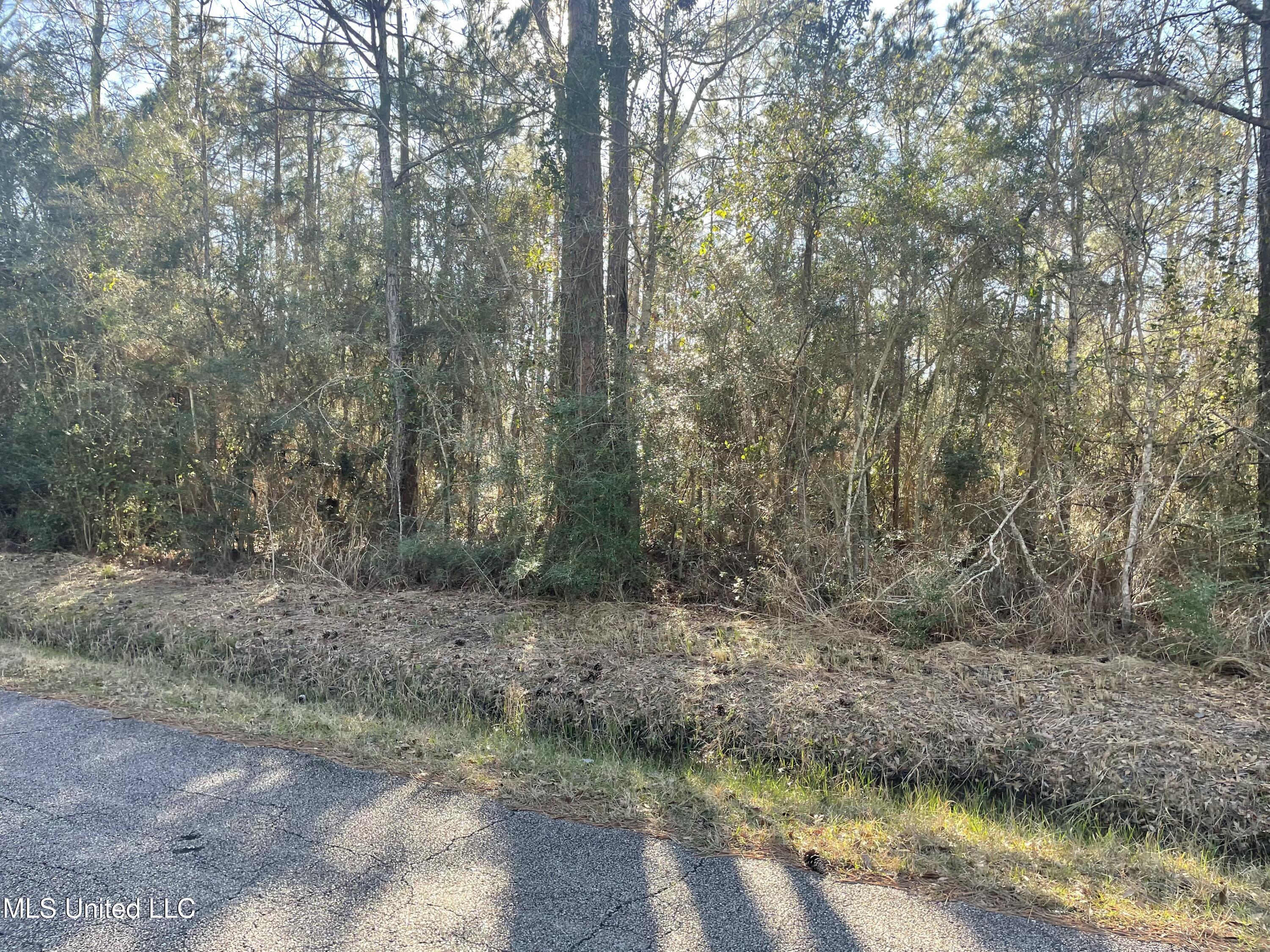 Crane Street, Bay Saint Louis, Mississippi image 12