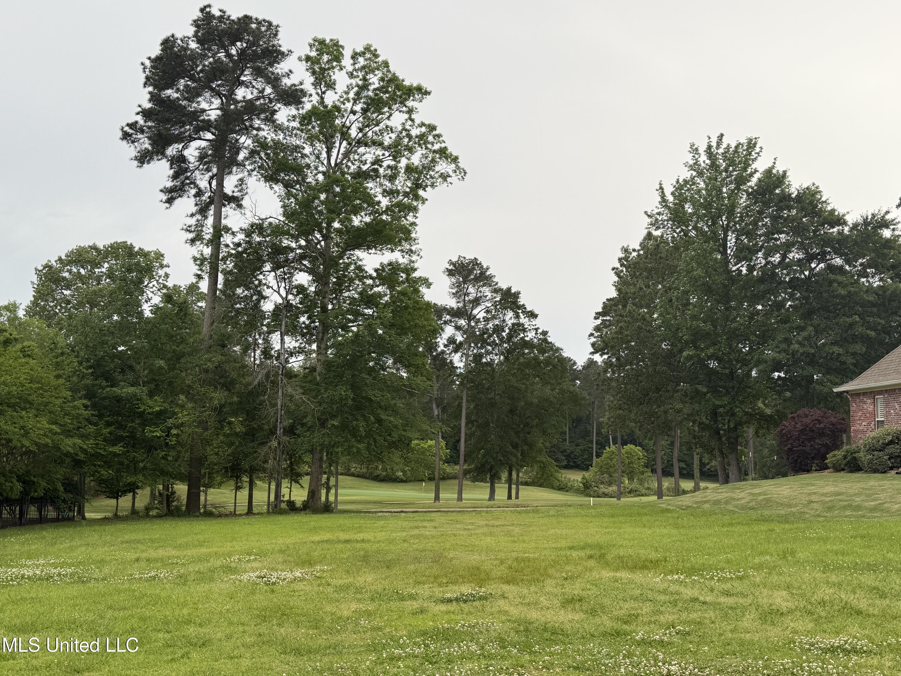 126 Woodlands Glen Circle, Brandon, Mississippi image 1