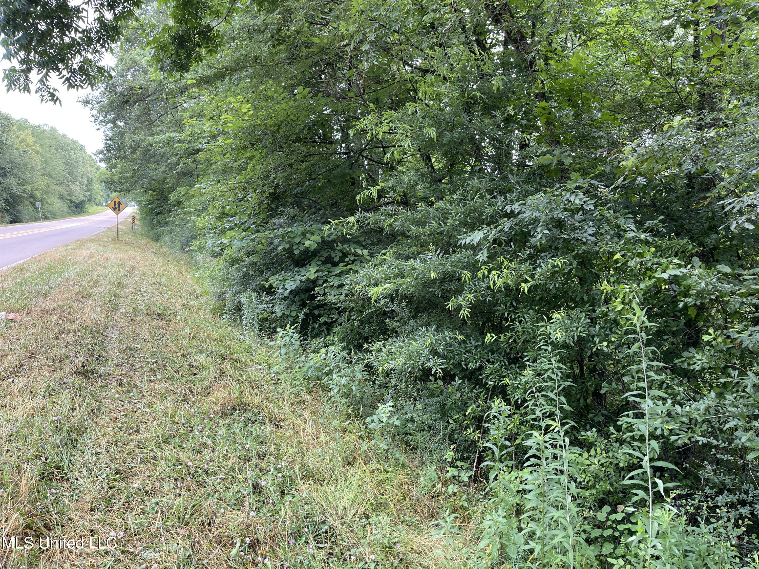 N Hwy 35, Forest, Mississippi image 1