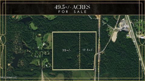 Vacant Land For Sale - 22273 Old Highway 49<br/> Saucier, MS 39574