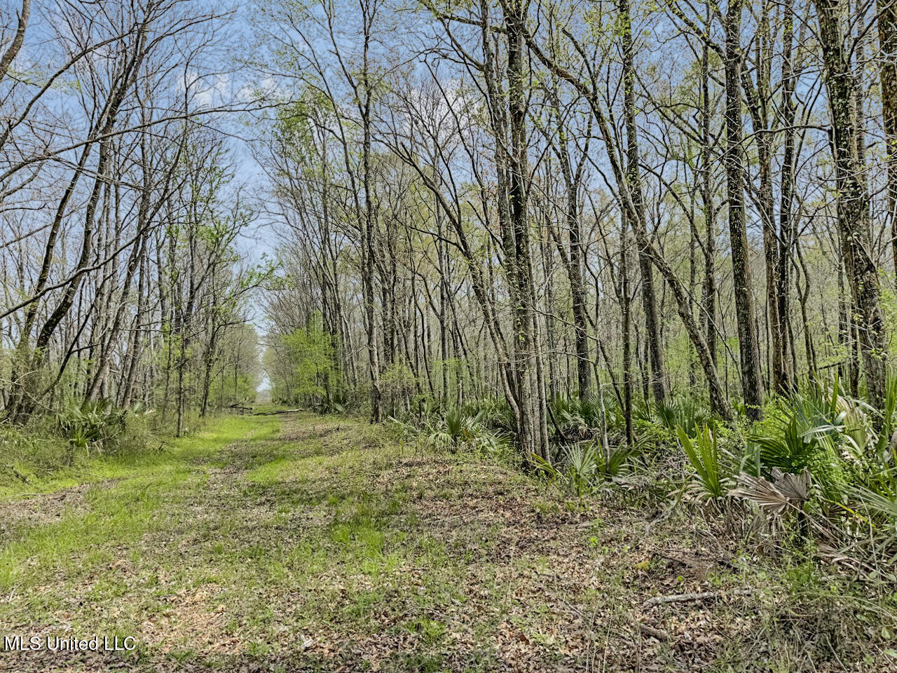 4000 Highway 65, Clayton, Louisiana image 40