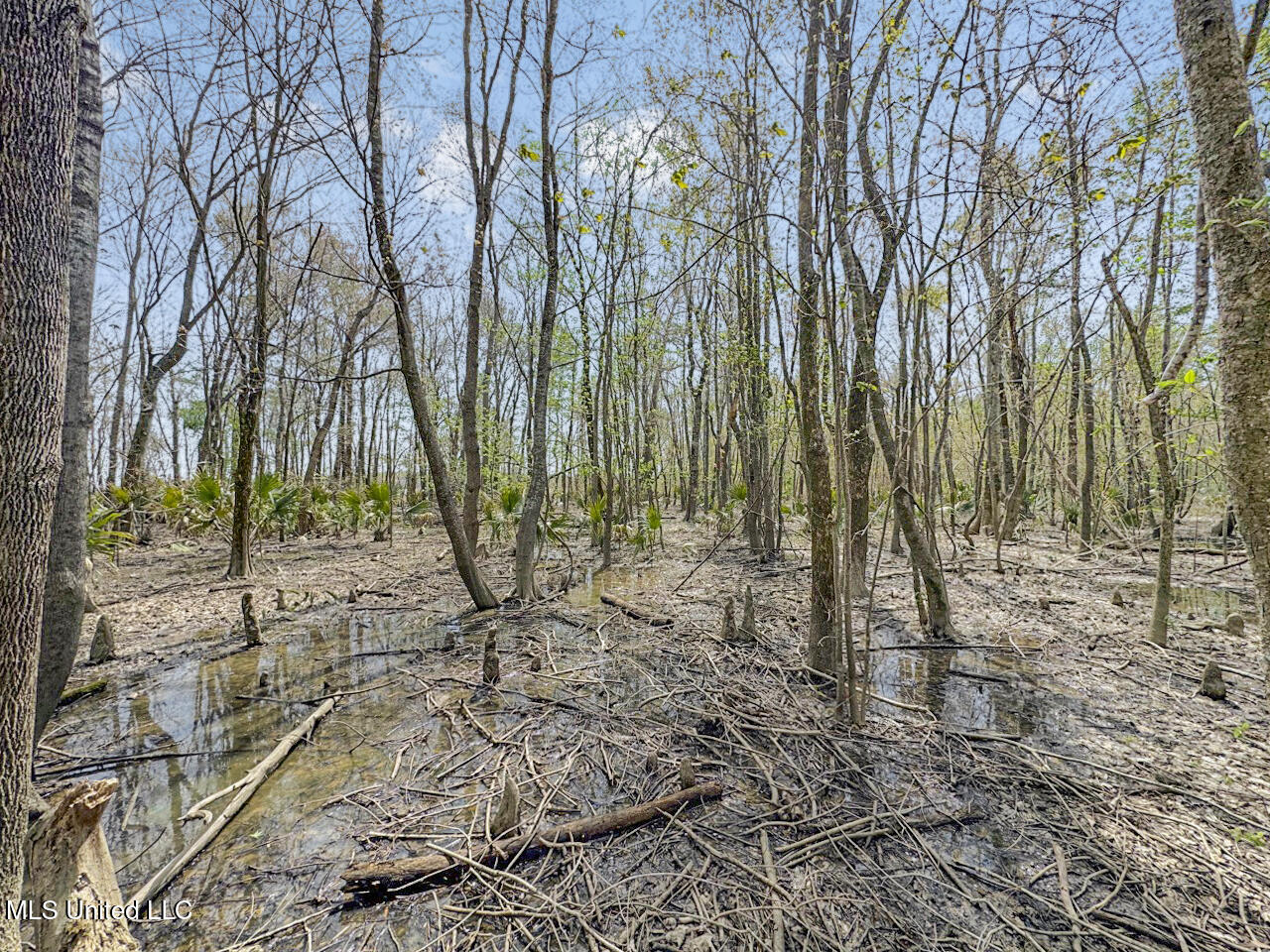 4000 Highway 65, Clayton, Louisiana image 28