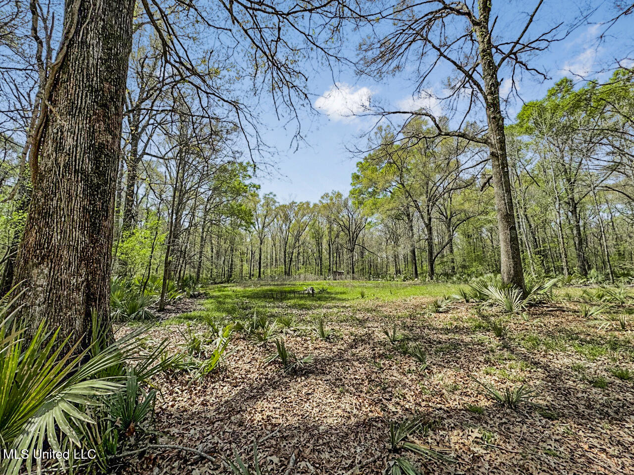 4000 Highway 65, Clayton, Louisiana image 20