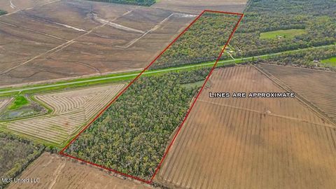 Vacant Land For Sale - 4000 Highway 65<br/> Clayton, LA 71326