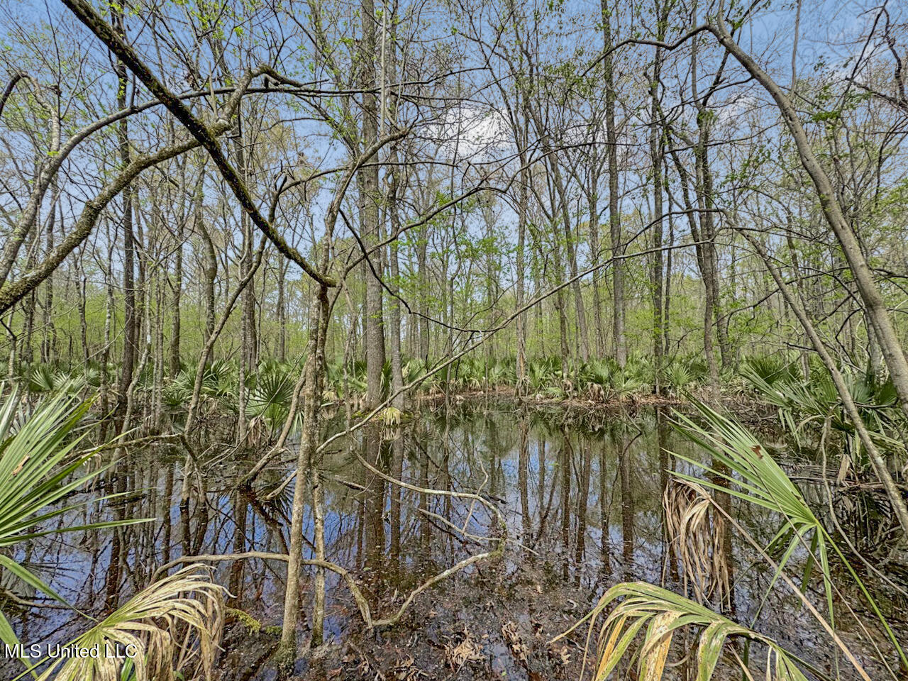 4000 Highway 65, Clayton, Louisiana image 37