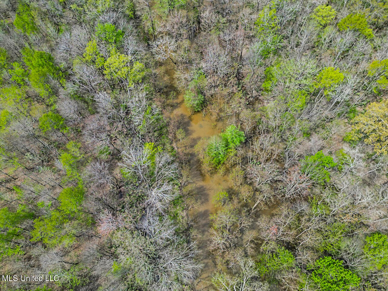 4000 Highway 65, Clayton, Louisiana image 12