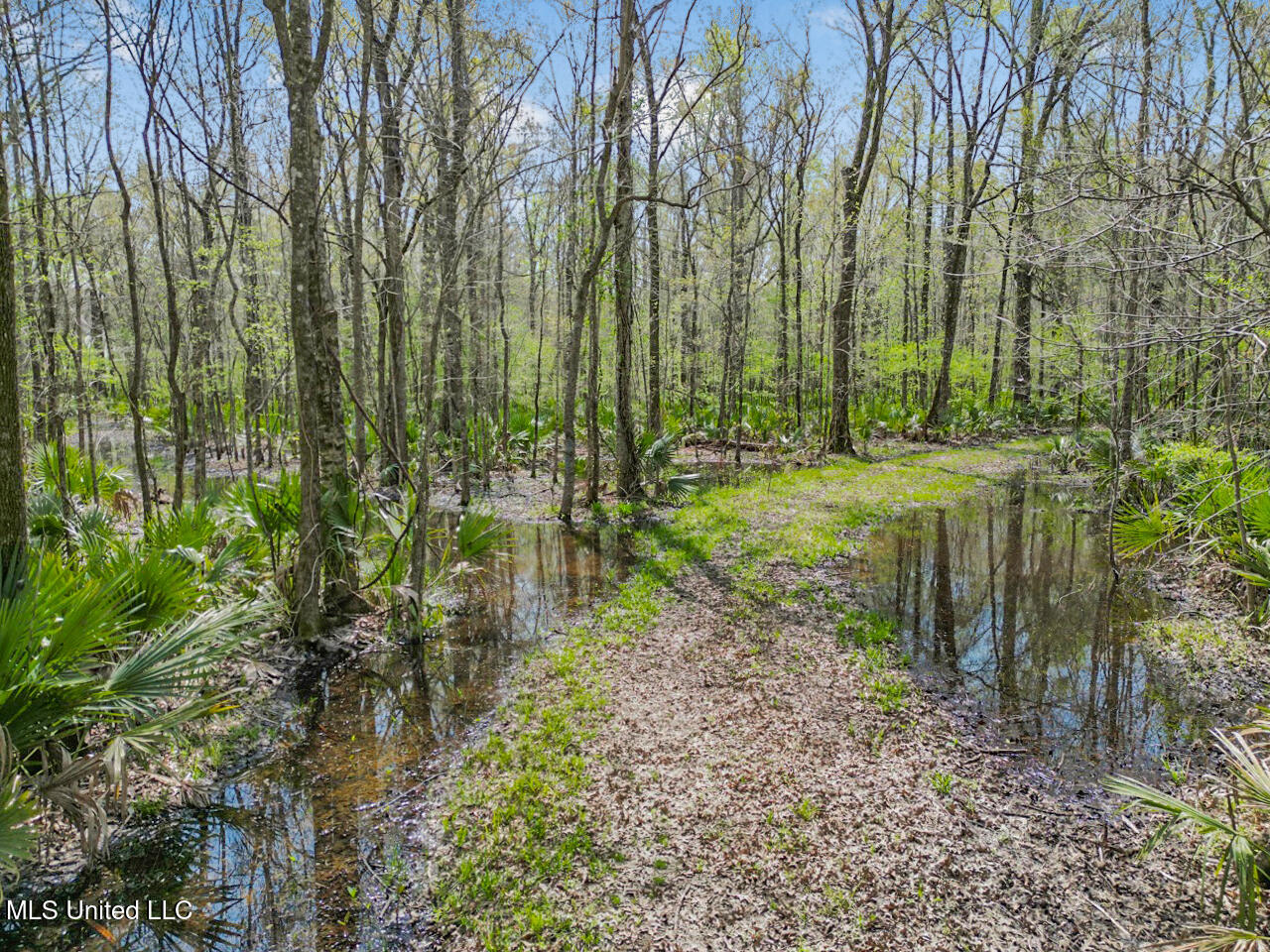 4000 Highway 65, Clayton, Louisiana image 6