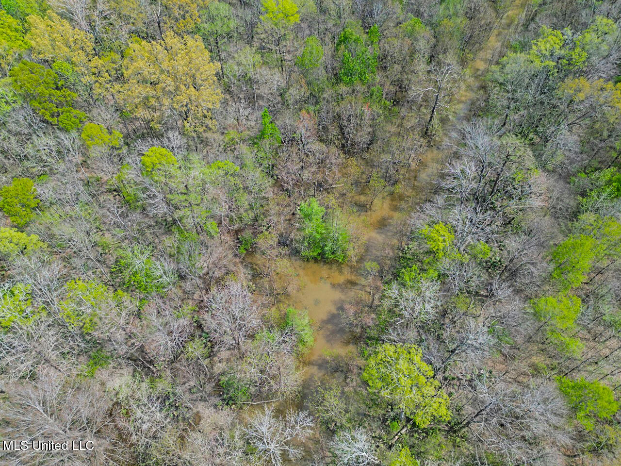 4000 Highway 65, Clayton, Louisiana image 13