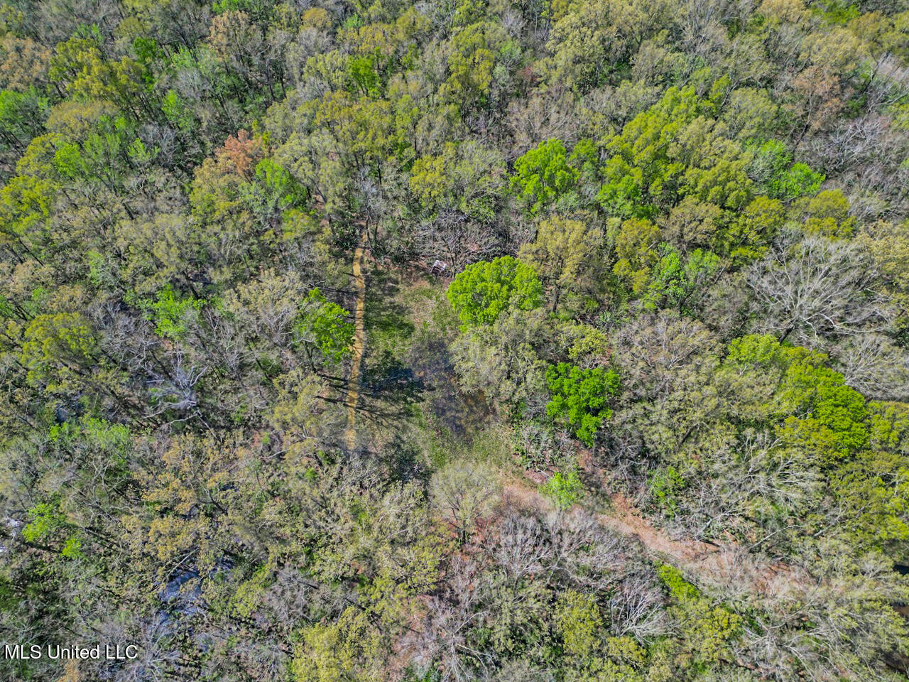 4000 Highway 65, Clayton, Louisiana image 8