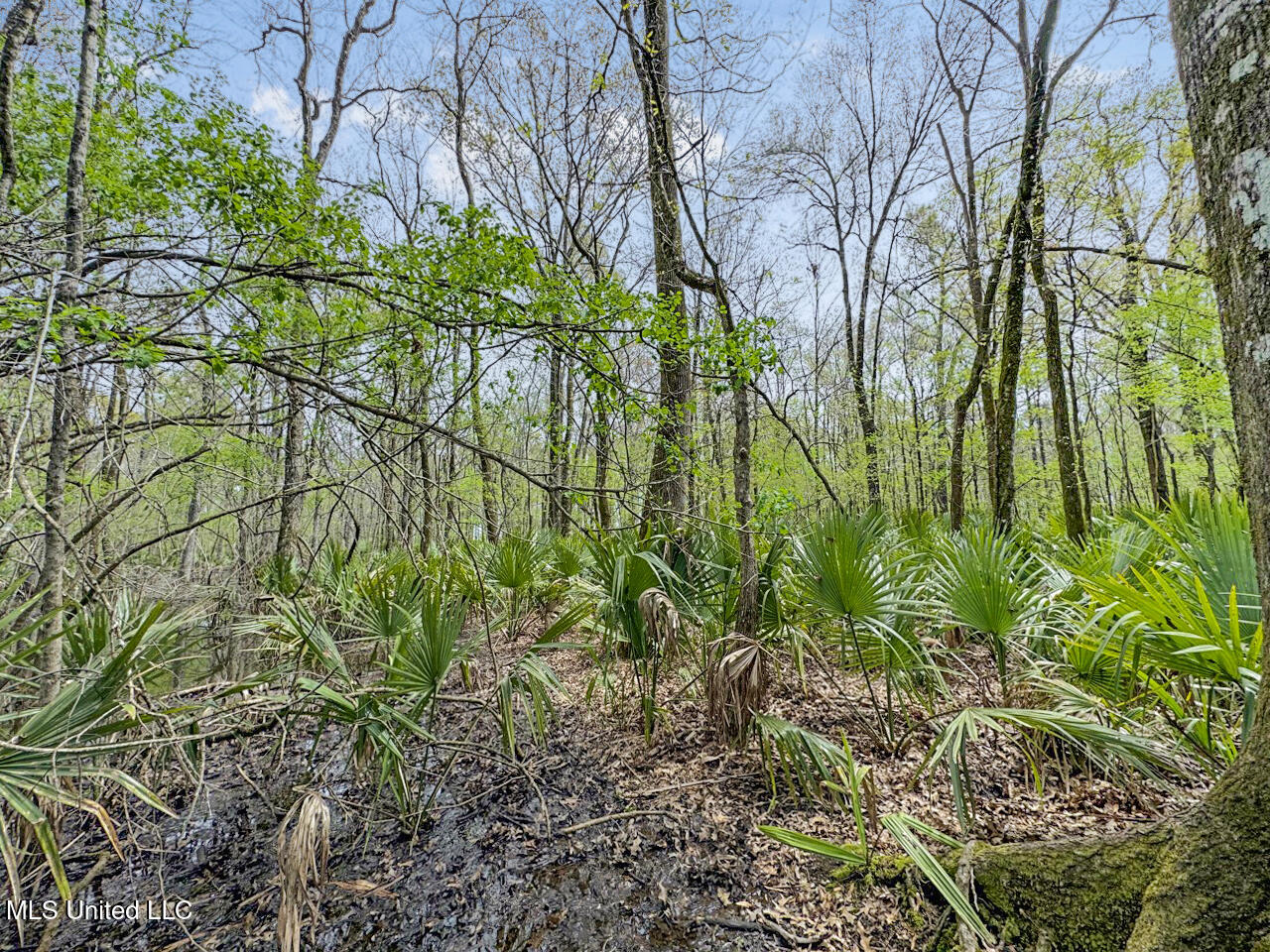 4000 Highway 65, Clayton, Louisiana image 38