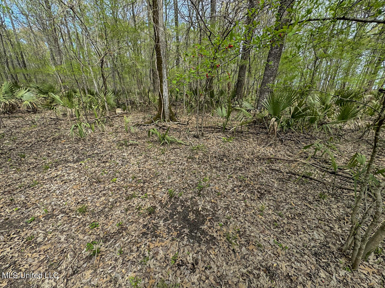 4000 Highway 65, Clayton, Louisiana image 34