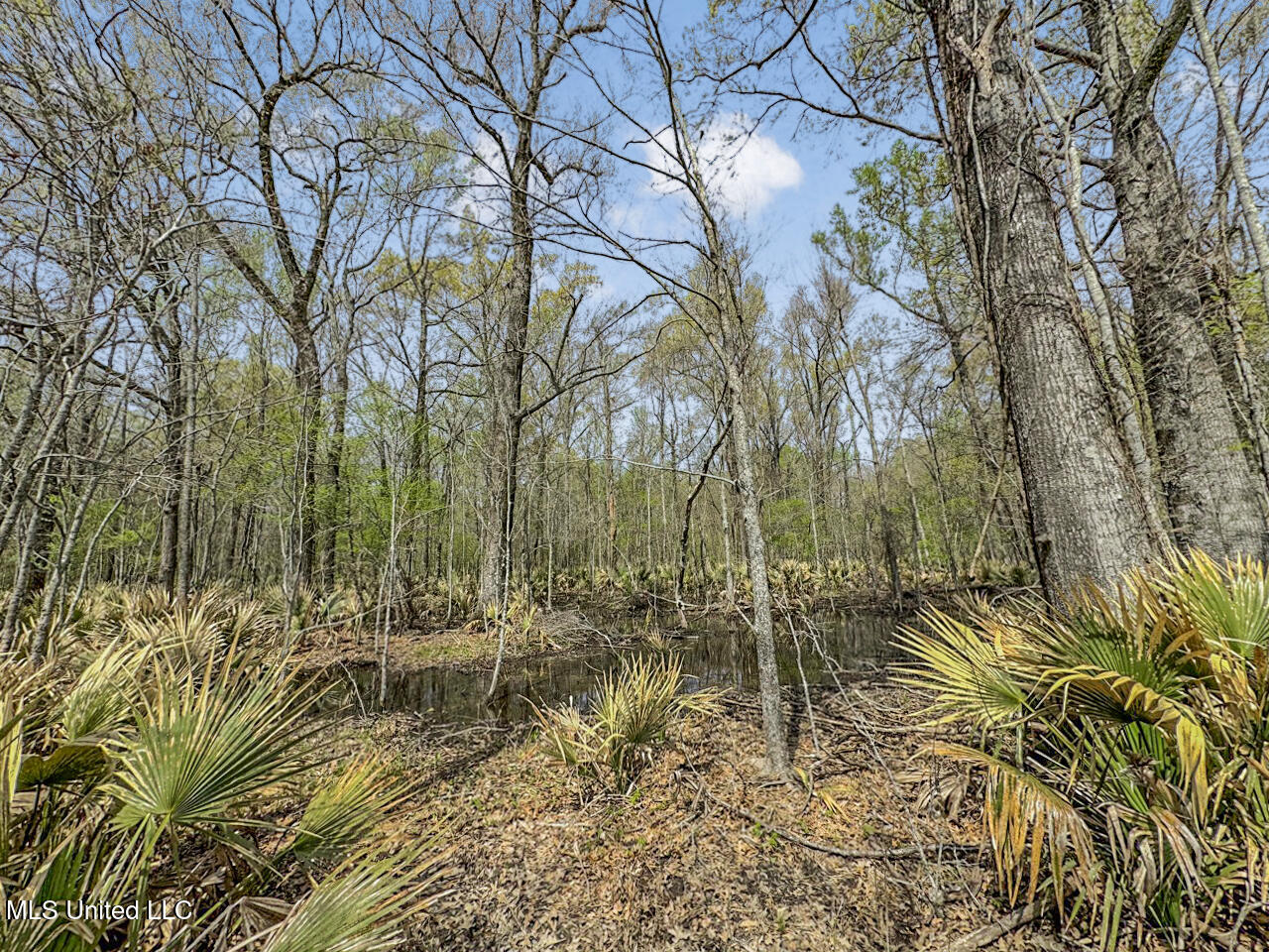 4000 Highway 65, Clayton, Louisiana image 26