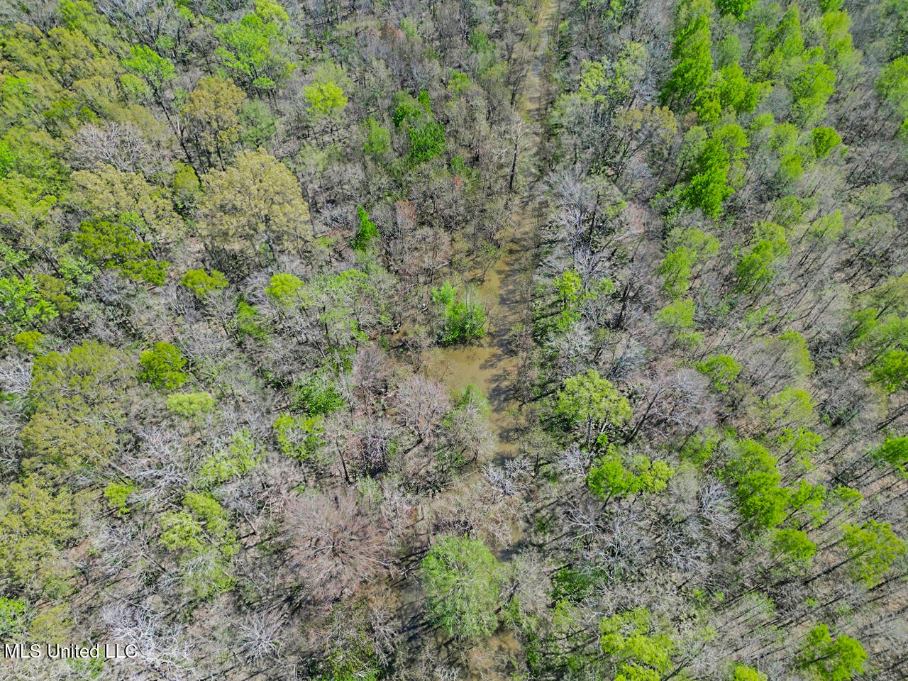 4000 Highway 65, Clayton, Louisiana image 9