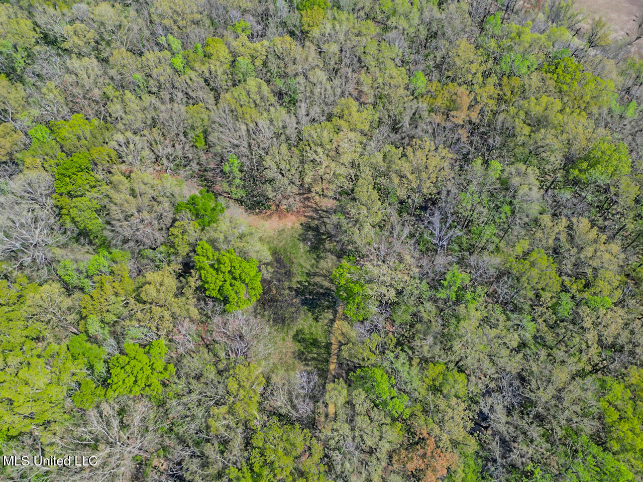 4000 Highway 65, Clayton, Louisiana image 10