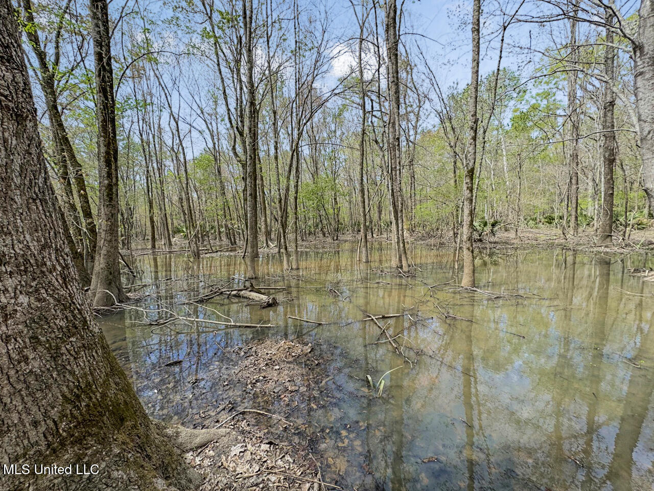 4000 Highway 65, Clayton, Louisiana image 33