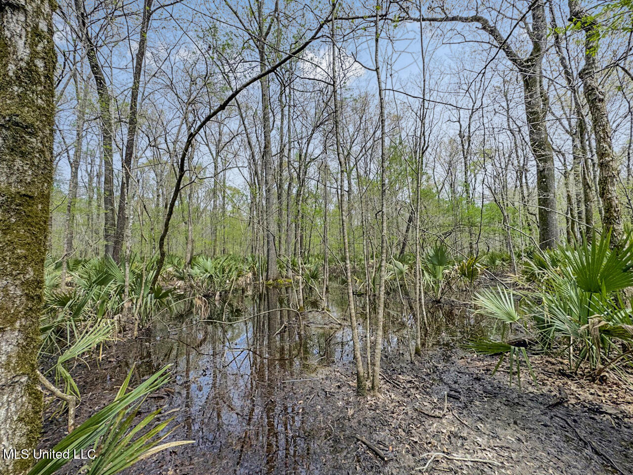 4000 Highway 65, Clayton, Louisiana image 36