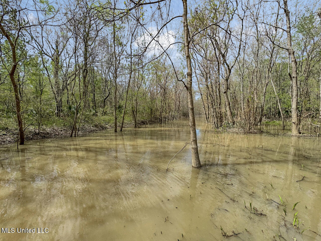 4000 Highway 65, Clayton, Louisiana image 31