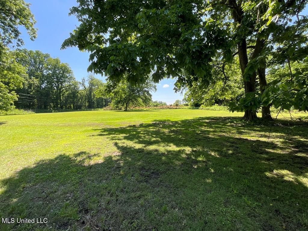 135 Bayou Rd Road, Greenville, Mississippi image 11