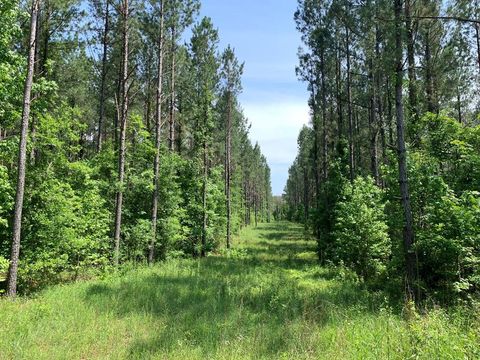 Vacant Land For Sale - . Athens Trail Ne/ Timberlane Rd Ne<br/> Wesson, MS 39191