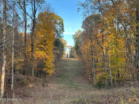 Vacant Land For Sale - Perry Creek Road<br/> Yazoo City, MS 39194