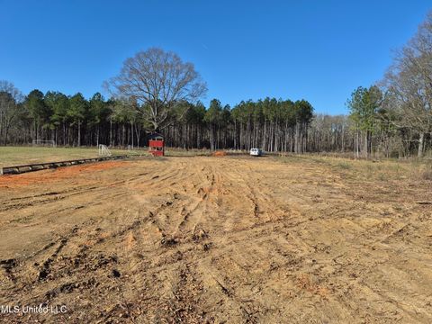 Vacant Land For Sale - Fountain Drive<br/> Scott County, Forest, MS 39074