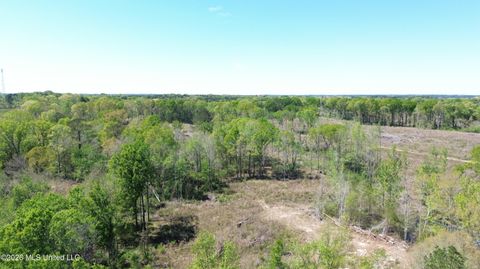 Vacant Land For Sale - Pettey Road<br/> Scott County, Forest, MS 39074