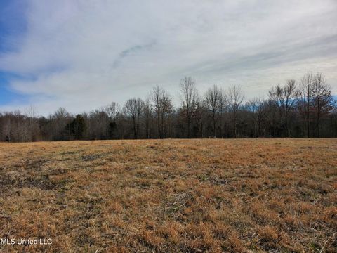 Vacant Land For Sale - 000 Woolfolk Road<br/> Tate County, Senatobia, MS 38668