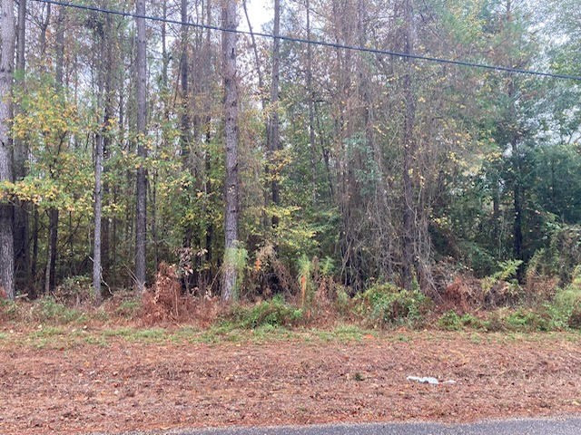 000 E Lewiston Road
