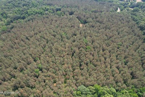 Vacant Land For Sale - County Road 227<br/> Coffeeville, MS 38922