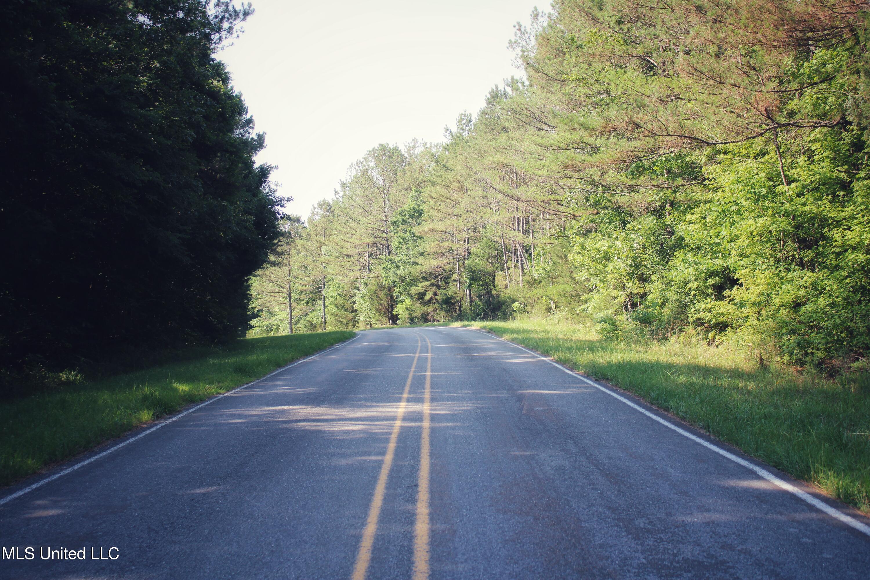 County Road 227, Coffeeville, Mississippi image 4