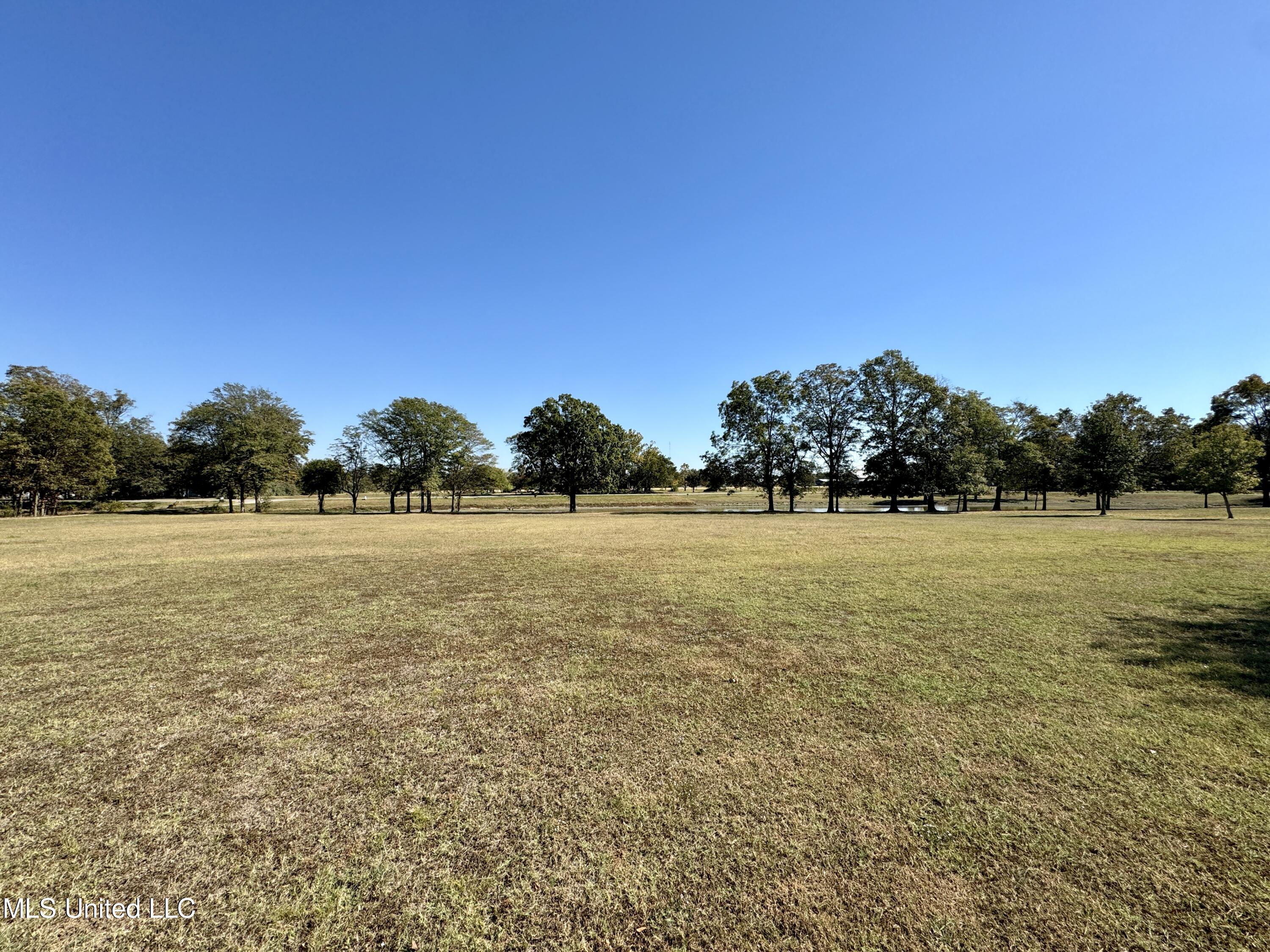 1785 N Bayou Road, Merigold, Mississippi image 5