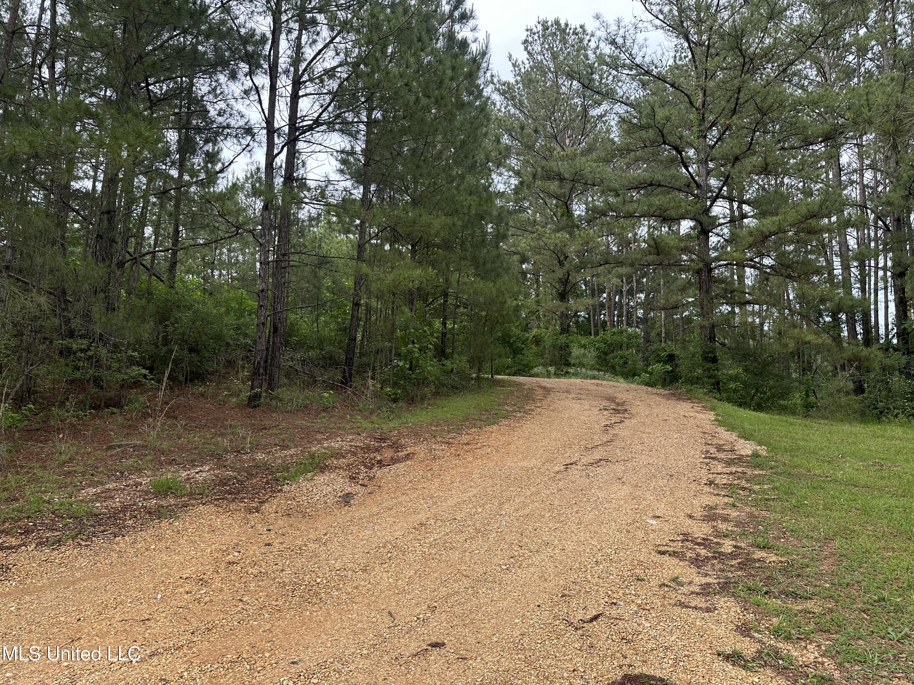 1184 Heed Neely Road, Harrisville, Mississippi image 40