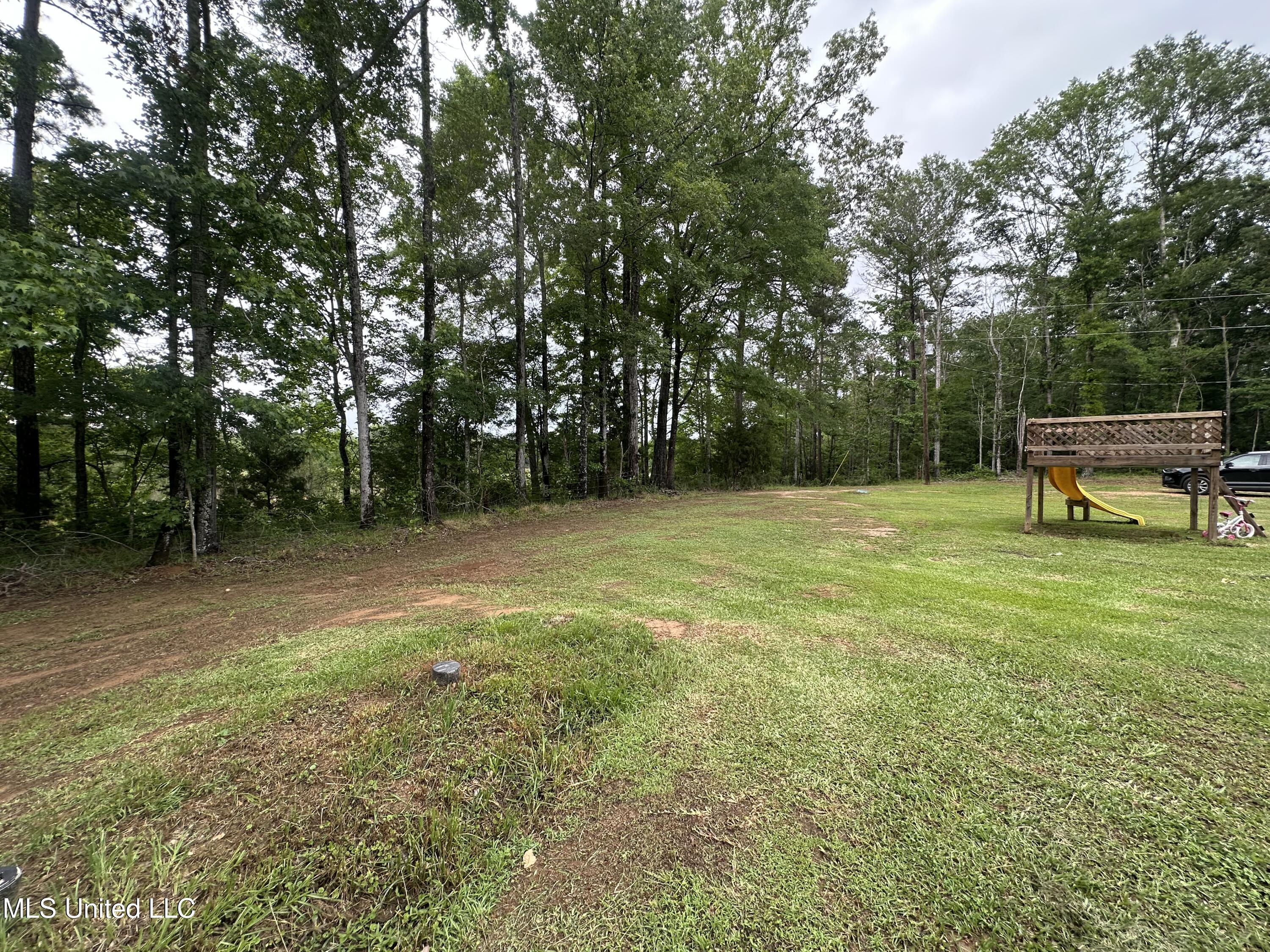 1184 Heed Neely Road, Harrisville, Mississippi image 34