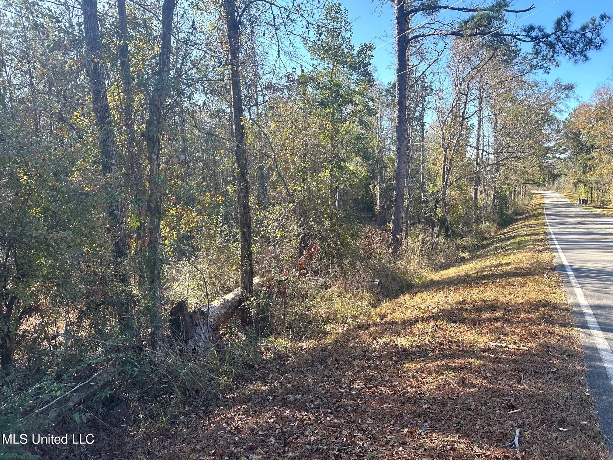 13ac Old Hwy 26, Lucedale, Mississippi image 4