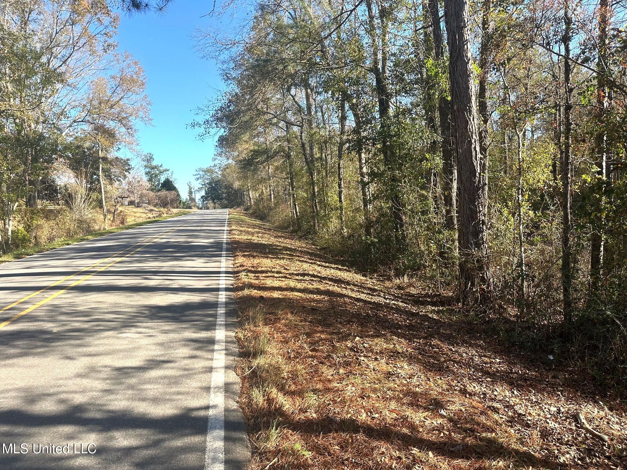 13ac Old Hwy 26, Lucedale, Mississippi image 3