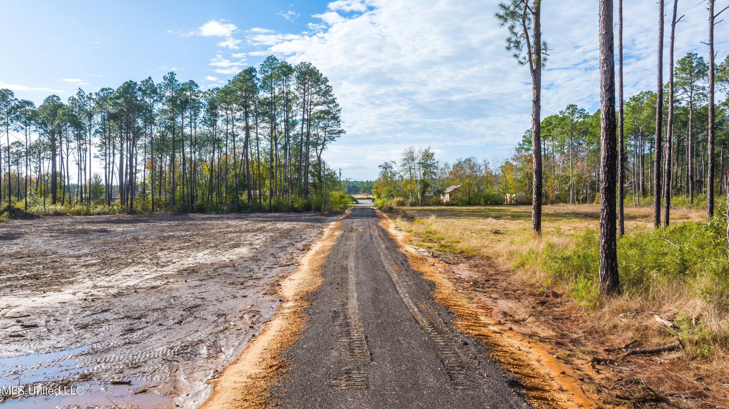 Holiday Drive, Ocean Springs, Mississippi image 8