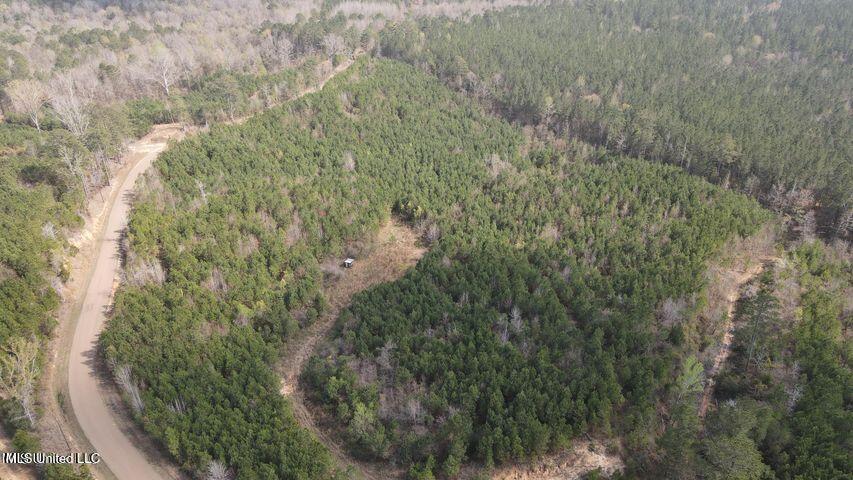 Honeysucker Road, Camden, Mississippi image 1