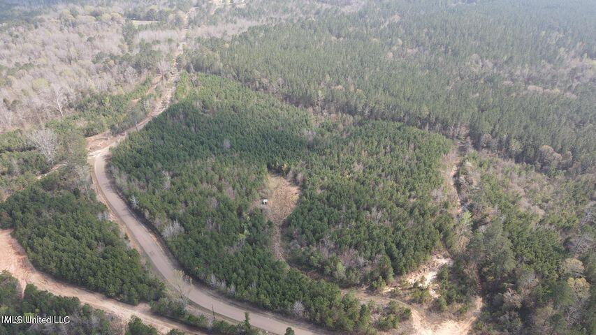 Honeysucker Road, Camden, Mississippi image 2