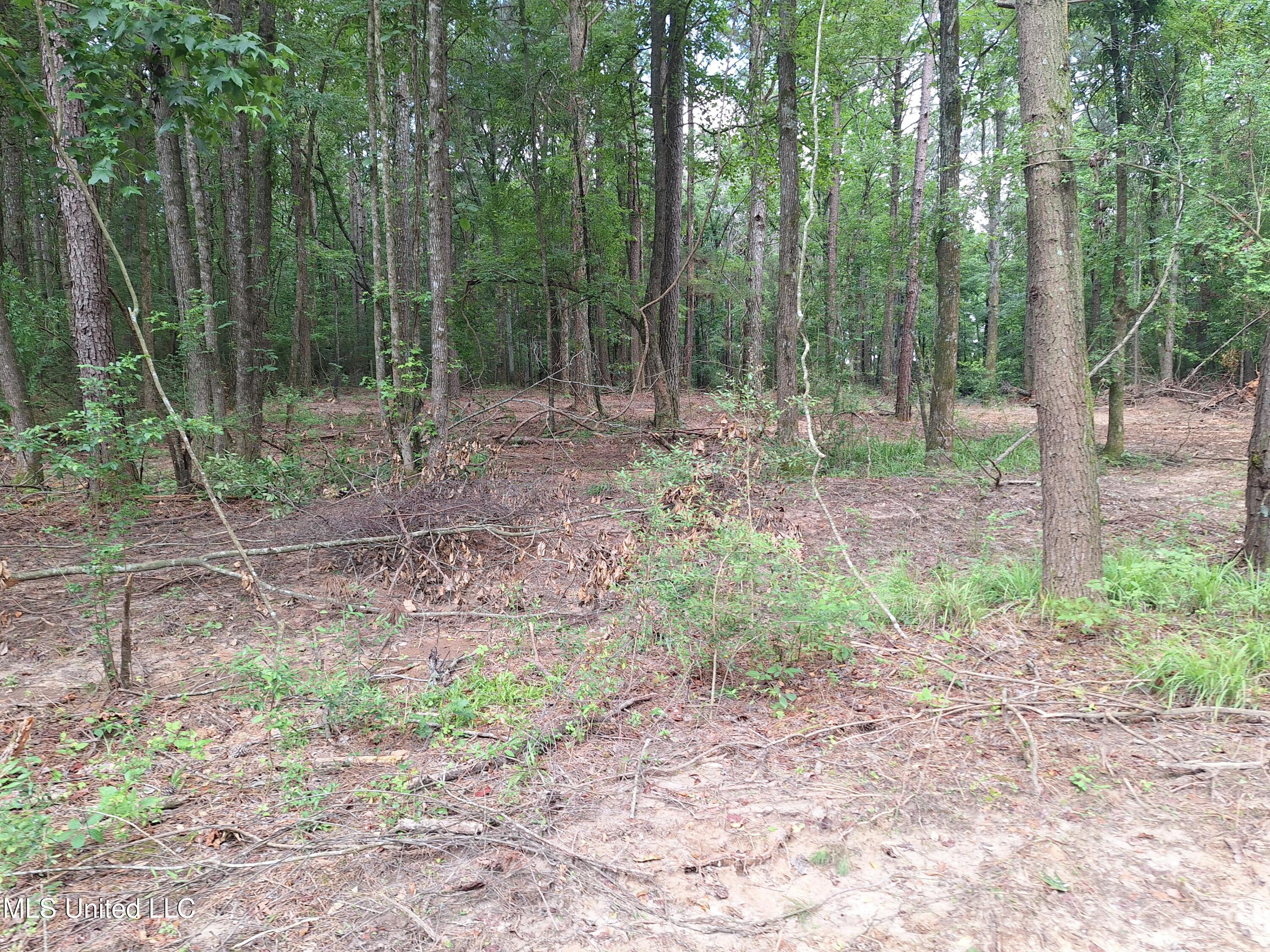 1078 Dry Creek Road, Mendenhall, Mississippi image 11