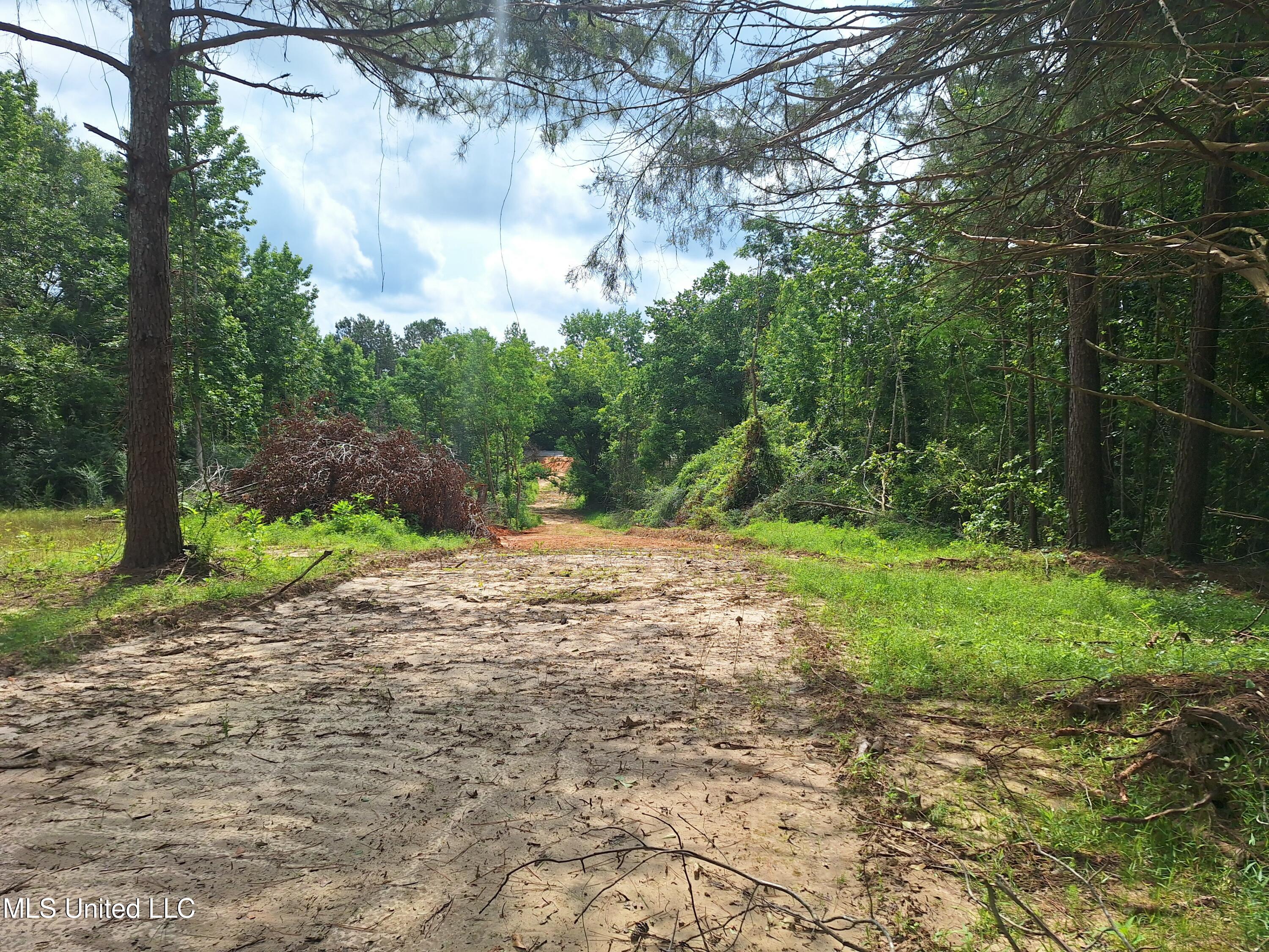 1078 Dry Creek Road, Mendenhall, Mississippi image 6