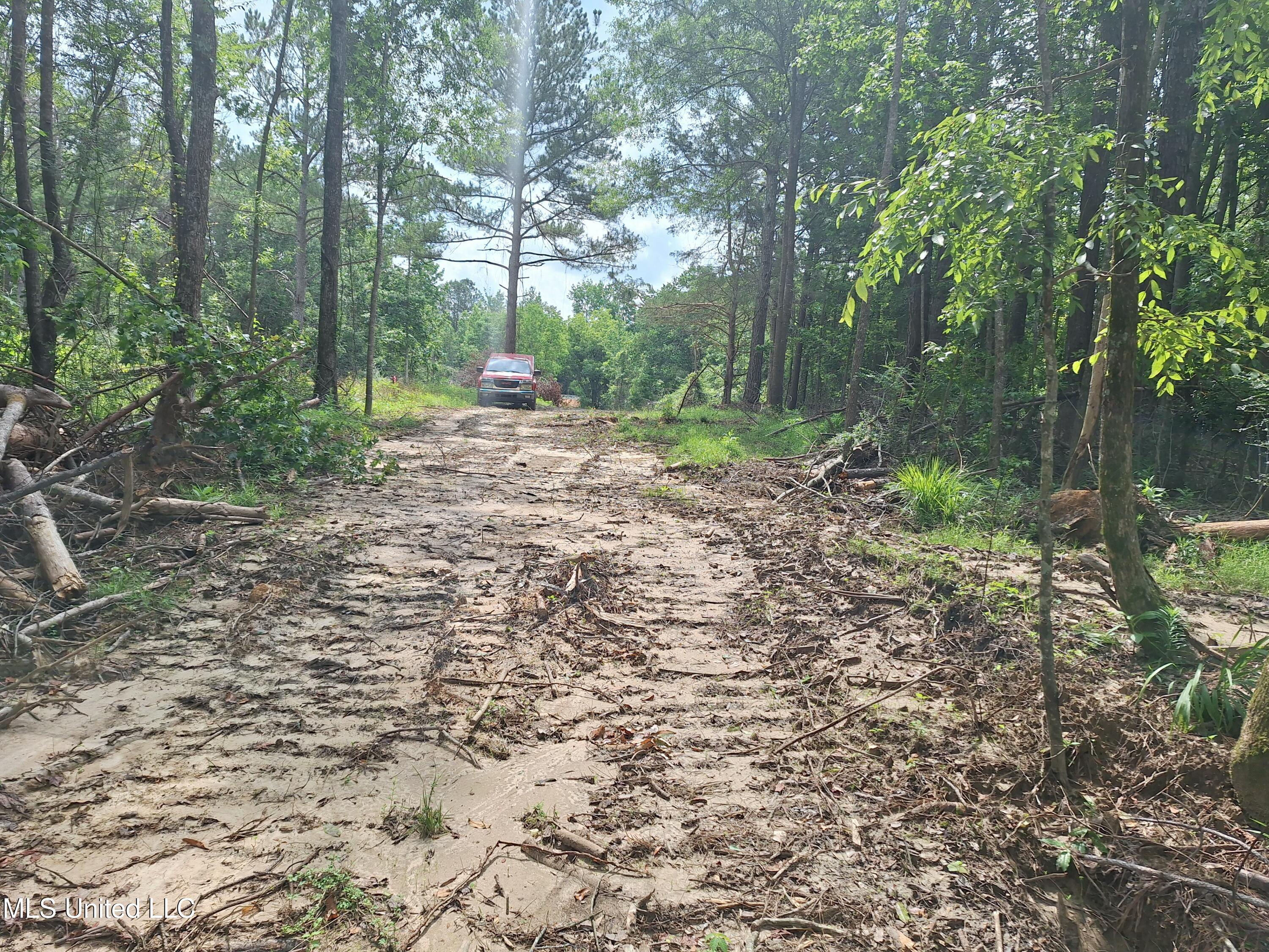 1078 Dry Creek Road, Mendenhall, Mississippi image 14