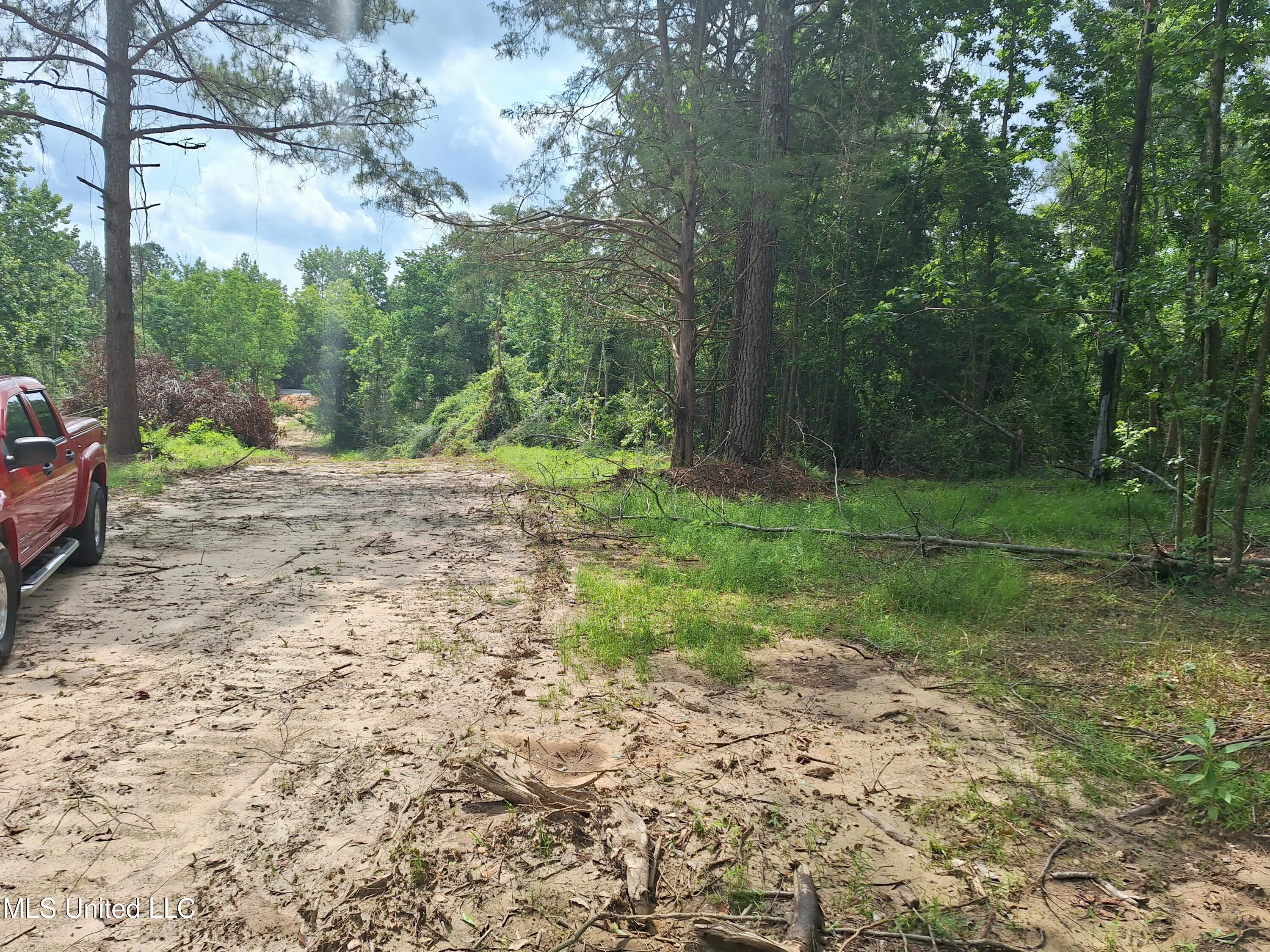 1078 Dry Creek Road, Mendenhall, Mississippi image 8