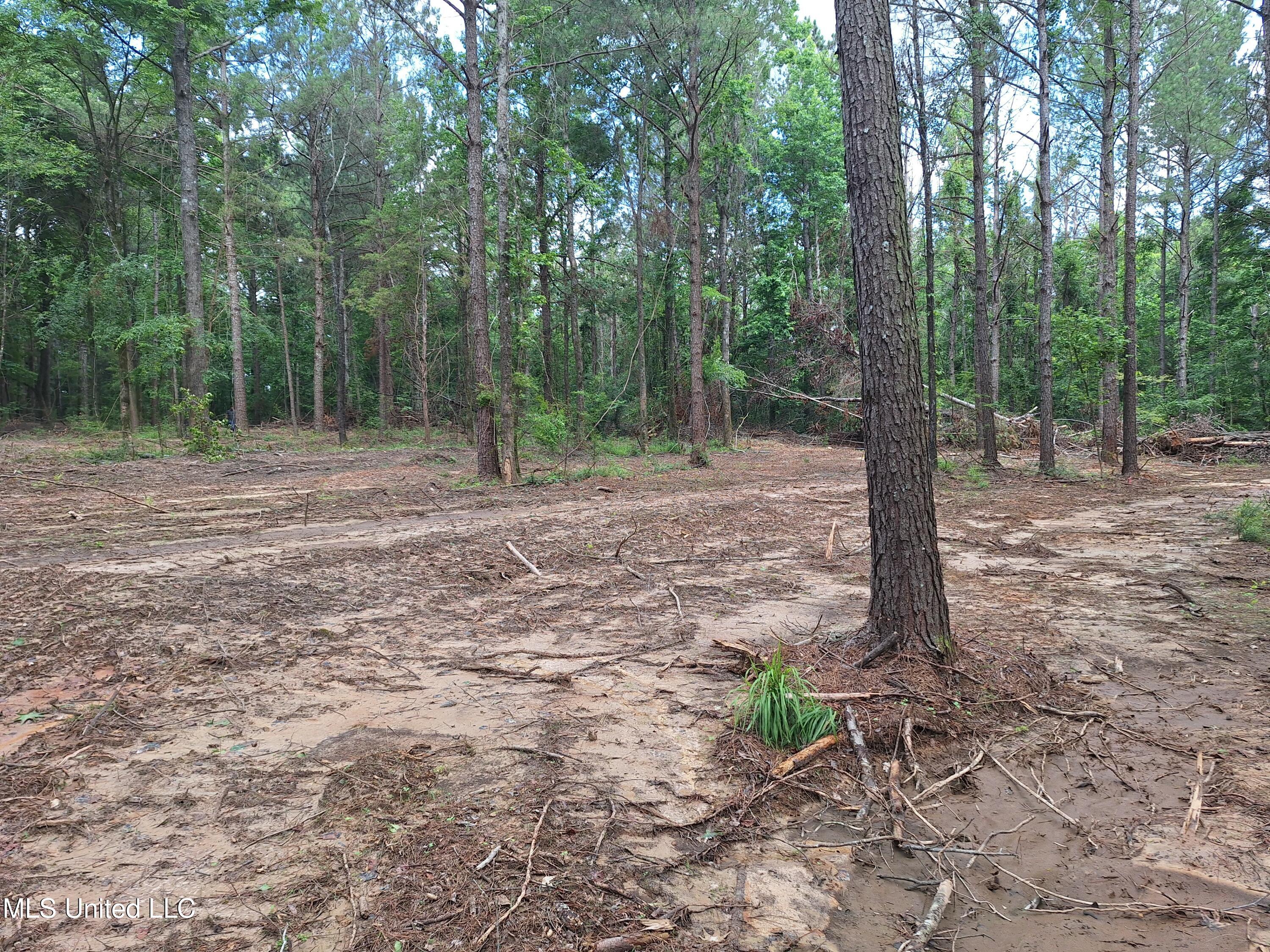 1078 Dry Creek Road, Mendenhall, Mississippi image 10